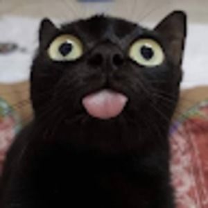 Meet your Posher, Veronica